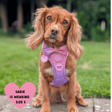 Trail & Glow® Dog Harness Bundle Set - COLOUR DROPS® - Love that for you - Bailey and Coco (UK)