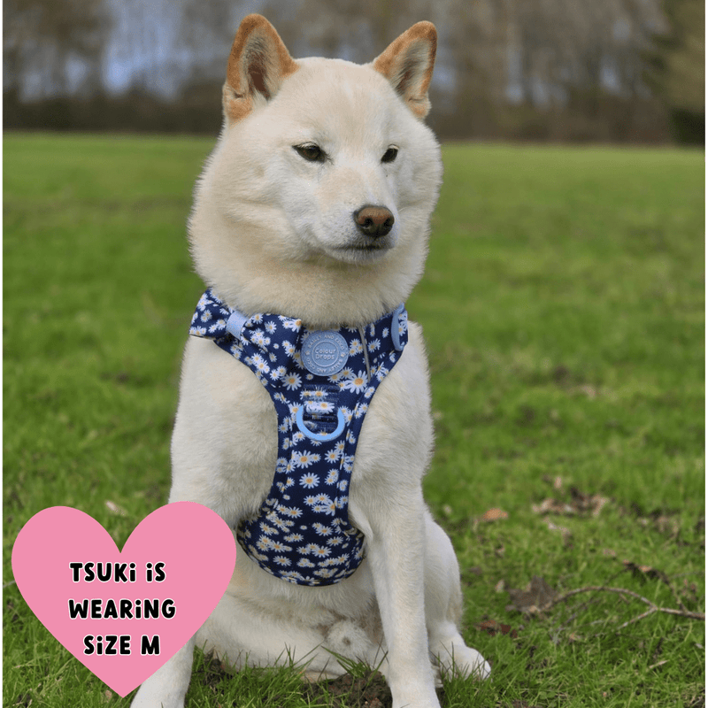 Trail & Glow Dog Harness Bundle Set - Colour Drops - Loves me, Loves me not - Bailey and Coco (UK)