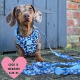 Trail & Glow Dog Harness Bundle Set - Colour Drops - Loves me, Loves me not - Bailey and Coco (UK)