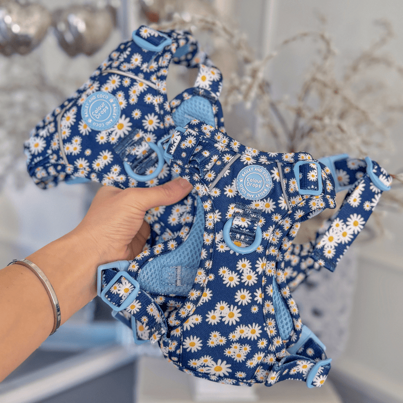 Trail & Glow Dog Harness Bundle Set - Colour Drops - Loves me, Loves me not - Bailey and Coco (UK)