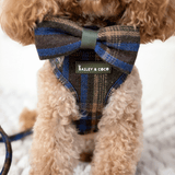 Trail & Glow - Dog Harness Bundle Set - Colour Drops - Mayfair Tweed - Bailey and Coco (UK)