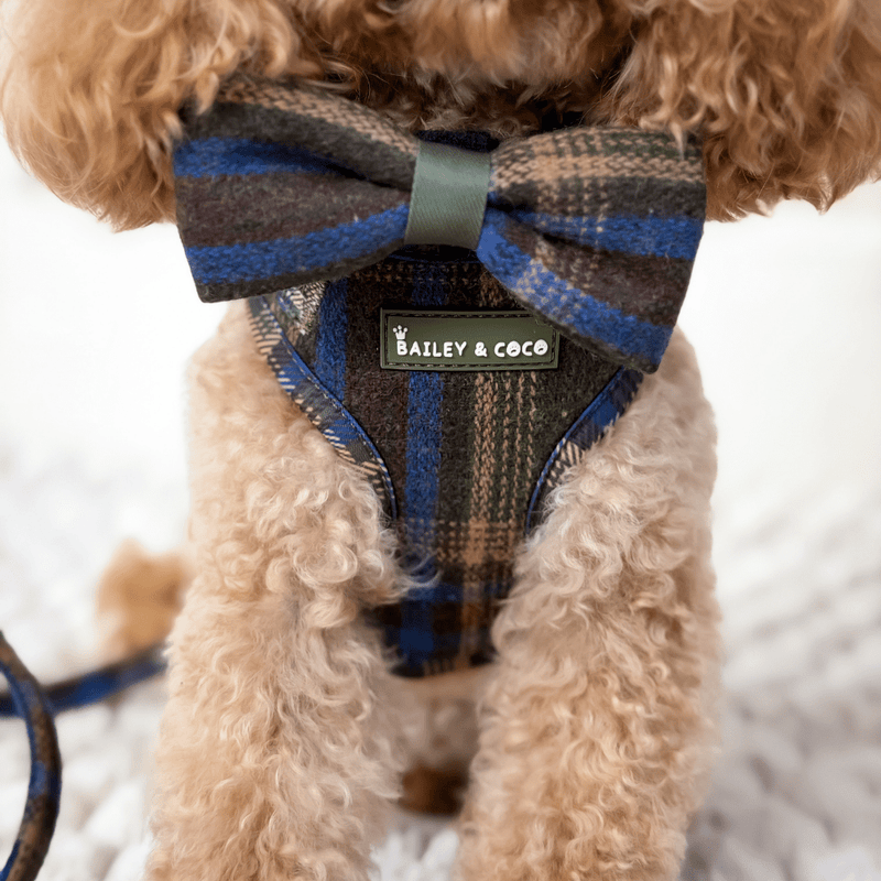 Trail & Glow - Dog Harness Bundle Set - Colour Drops - Mayfair Tweed - Bailey and Coco (UK)