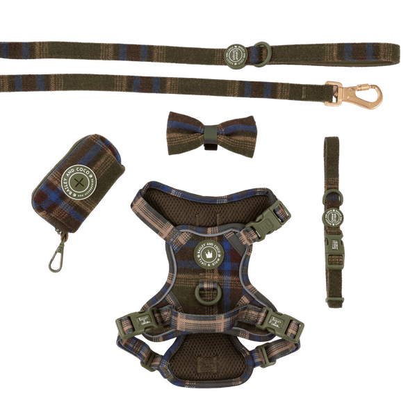 Trail & Glow - Dog Harness Bundle Set - Colour Drops - Mayfair Tweed - Bailey and Coco (UK)