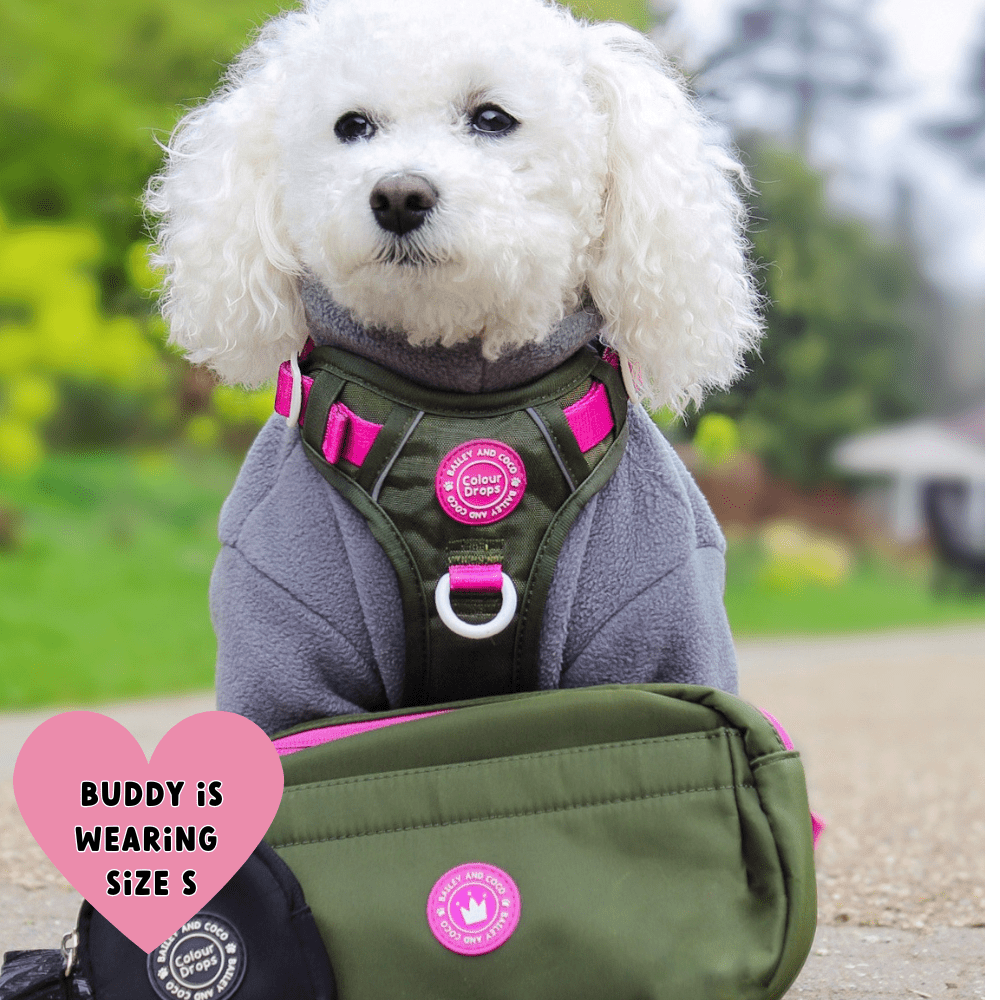 Trail & Glow® Dog Harness Bundle Set - COLOUR DROPS® - Olive it Hot - Bailey and Coco (UK)