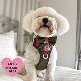 Trail & Glow® Dog Harness Bundle Set - COLOUR DROPS® - Olive it Hot - Bailey and Coco (UK)
