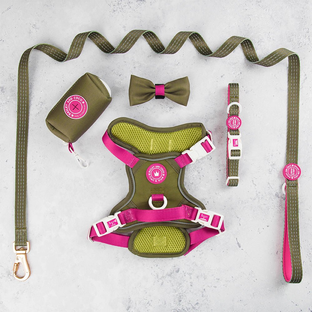 Trail & Glow® Dog Harness Bundle Set - COLOUR DROPS® - Olive it Hot - Bailey and Coco (UK)