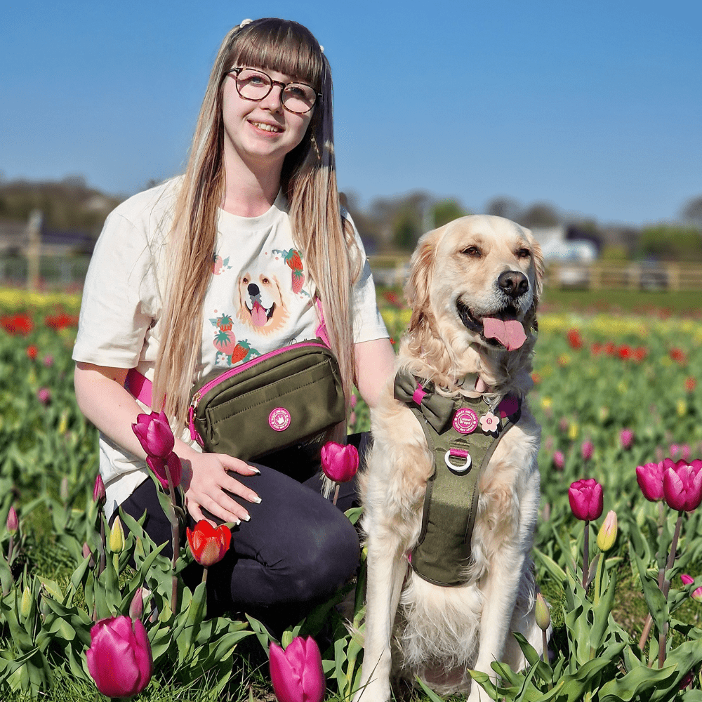 Trail & Glow® Dog Harness Bundle Set - COLOUR DROPS® - Olive it Hot - Bailey and Coco (UK)