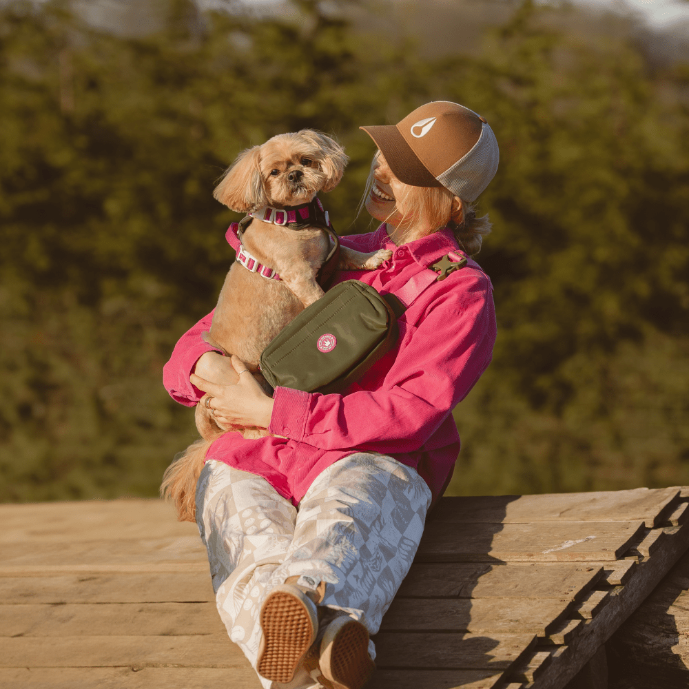 Trail & Glow® Dog Harness Bundle Set - COLOUR DROPS® - Olive it Hot - Bailey and Coco (UK)