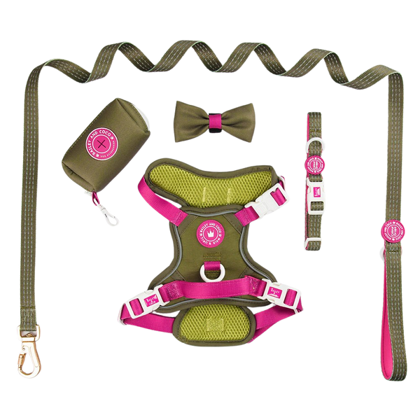 Trail & Glow® Dog Harness Bundle Set - COLOUR DROPS® - Olive it Hot - Bailey and Coco (UK)