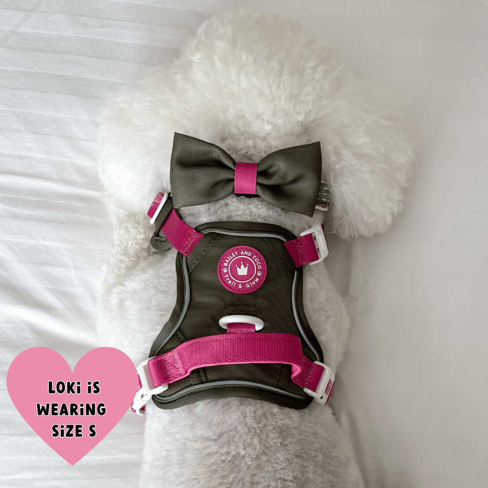 Trail & Glow® Dog Harness Bundle Set - COLOUR DROPS® - Olive it Hot - Bailey and Coco (UK)