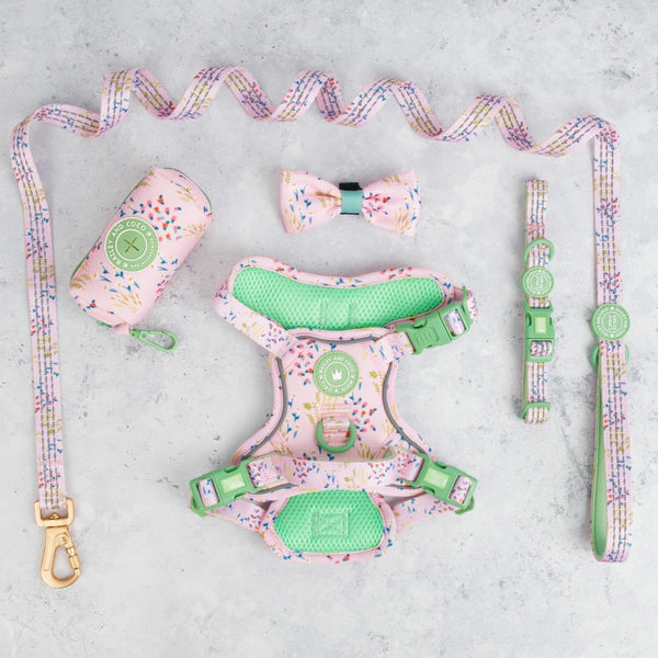 Trail & Glow® Dog Harness Bundle Set - COLOUR DROPS® - Pick Me - Bailey and Coco (UK)