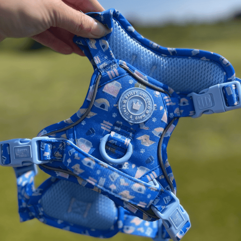 Trail & Glow® Dog Harness Bundle Set - COLOUR DROPS® - Pitch, Please - Bailey and Coco (UK)