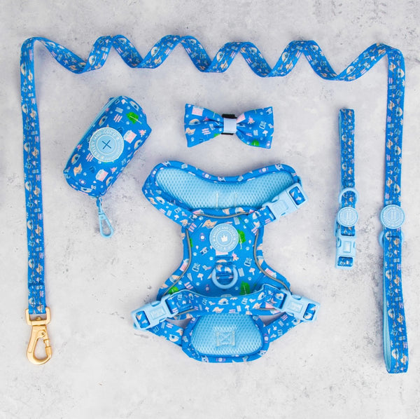 Trail & Glow® Dog Harness Bundle Set - COLOUR DROPS® - Pitch, Please - Bailey and Coco (UK)