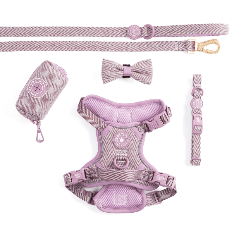 Trail & Glow - Dog Harness Bundle Set - Colour Drops - Plum Tweed - Bailey and Coco (UK)