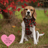 Trail & Glow - Dog Harness Bundle Set - Colour Drops - Red Highland Tartan - Bailey and Coco (UK)