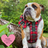 Trail & Glow - Dog Harness Bundle Set - Colour Drops - Red Highland Tartan - Bailey and Coco (UK)