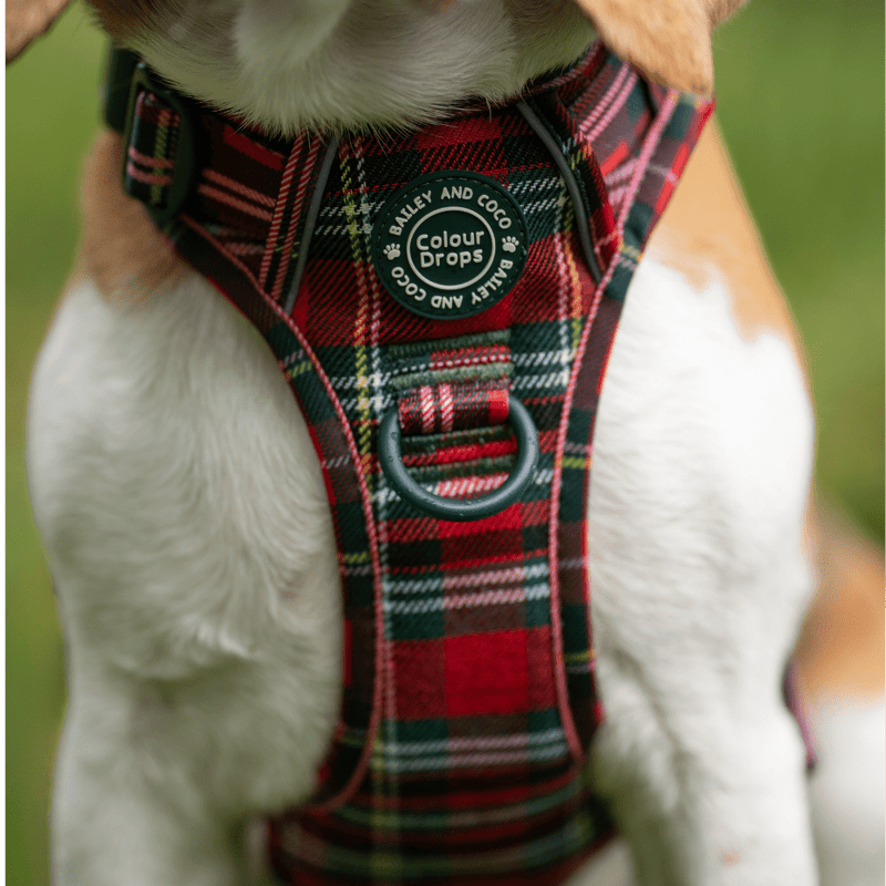 Trail & Glow - Dog Harness Bundle Set - Colour Drops - Red Highland Tartan - Bailey and Coco (UK)
