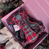 Trail & Glow - Dog Harness Bundle Set - Colour Drops - Red Highland Tartan - Bailey and Coco (UK)