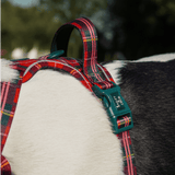Trail & Glow - Dog Harness Bundle Set - Colour Drops - Red Highland Tartan - Bailey and Coco (UK)