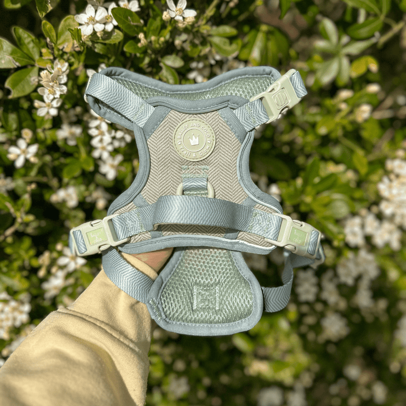 Trail & Glow - Dog Harness Bundle Set - Colour Drops - Sage Tweed - Bailey and Coco (UK)