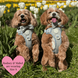 Trail & Glow - Dog Harness Bundle Set - Colour Drops - Sage Tweed - Bailey and Coco (UK)