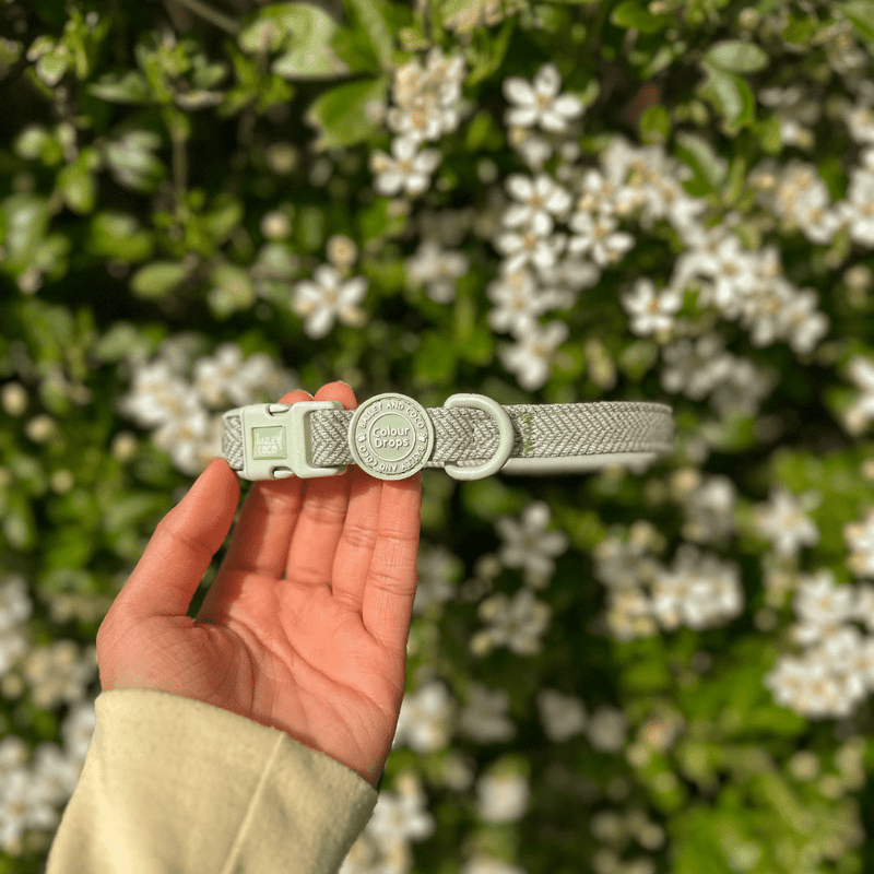 Trail & Glow - Dog Harness Bundle Set - Colour Drops - Sage Tweed - Bailey and Coco (UK)