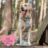 Trail & Glow - Dog Harness Bundle Set - Colour Drops - Sage Tweed - Bailey and Coco (UK)