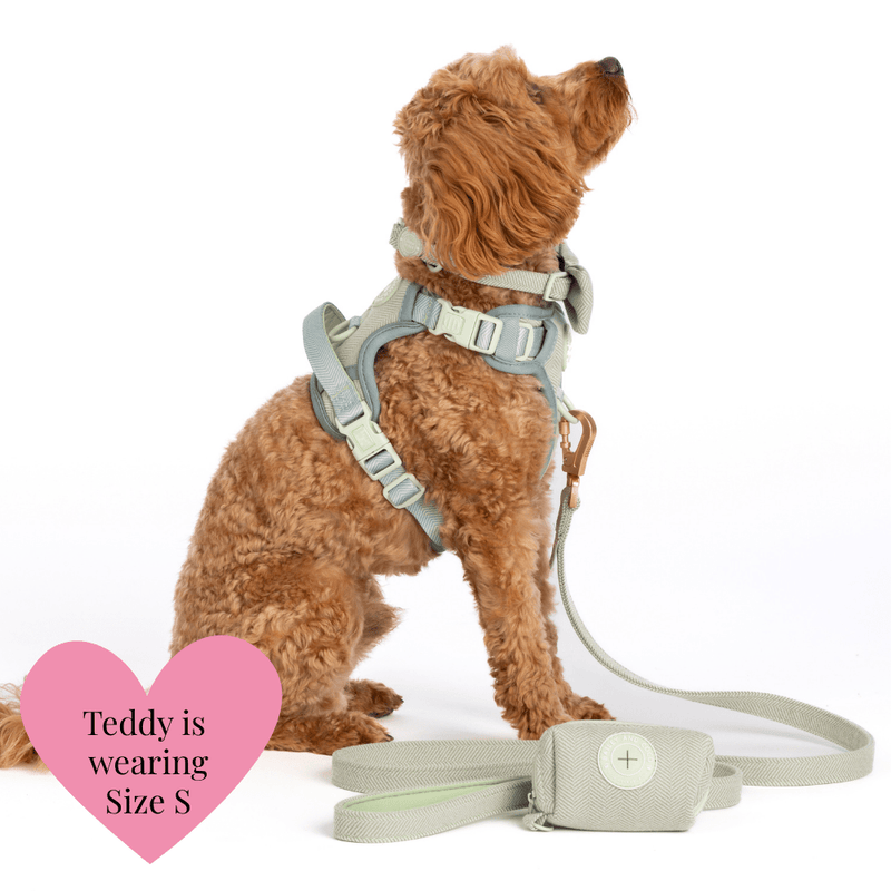 Trail & Glow - Dog Harness Bundle Set - Colour Drops - Sage Tweed - Bailey and Coco (UK)