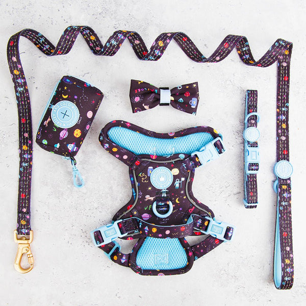 Trail & Glow® Dog Harness Bundle Set - COLOUR DROPS® - Space Paws - Bailey and Coco (UK)