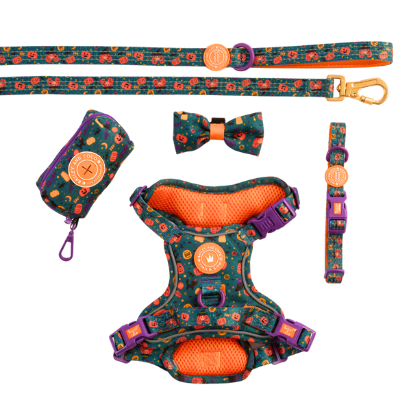 Trail & Glow - Dog Harness Bundle Set - Colour Drops - Spellbound Autumn - Bailey and Coco (UK)