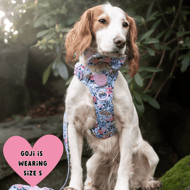 Trail & Glow Dog Harness Bundle Set - Colour Drops - Spring Dreams - Bailey and Coco (UK)