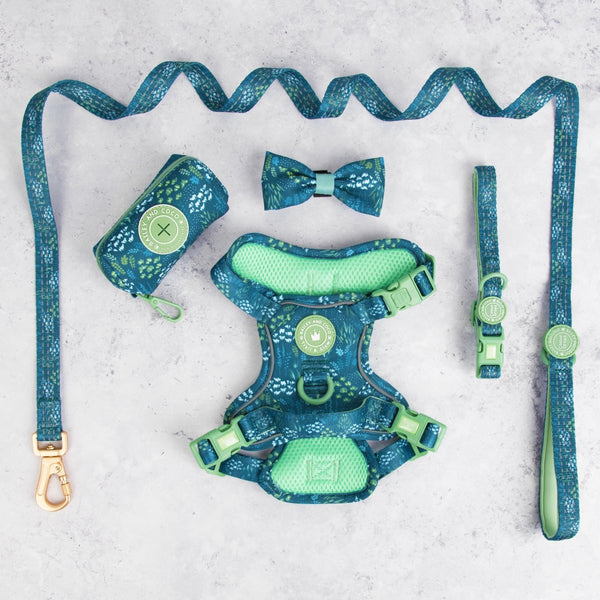 Trail & Glow® Dog Harness Bundle Set - COLOUR DROPS® - Touch Grass - Bailey and Coco (UK)