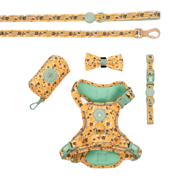 Trail & Glow Dog Harness Bundle Set - Colour Drops - Wanna - Bee - Bailey and Coco (UK)