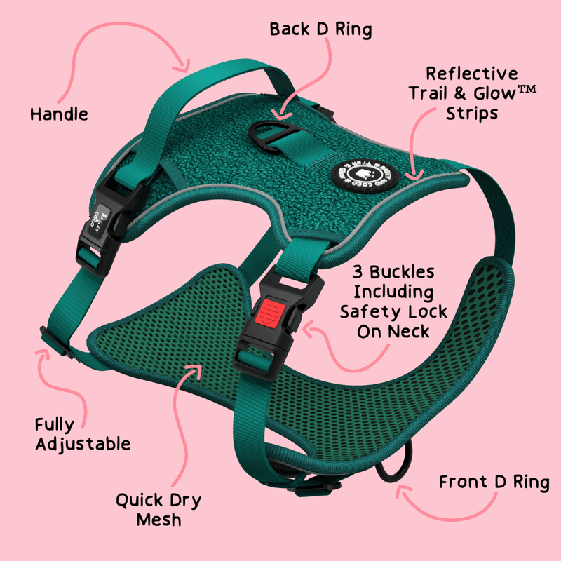 Trail & Glow® Dog Harness Bundle Set - Emerald Teddy - Bailey and Coco (UK)
