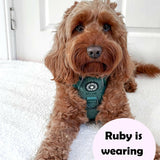 Trail & Glow® Dog Harness Bundle Set - Emerald Teddy - Bailey and Coco (UK)