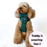 Trail & Glow® Dog Harness Bundle Set - Emerald Teddy - Bailey and Coco (UK)