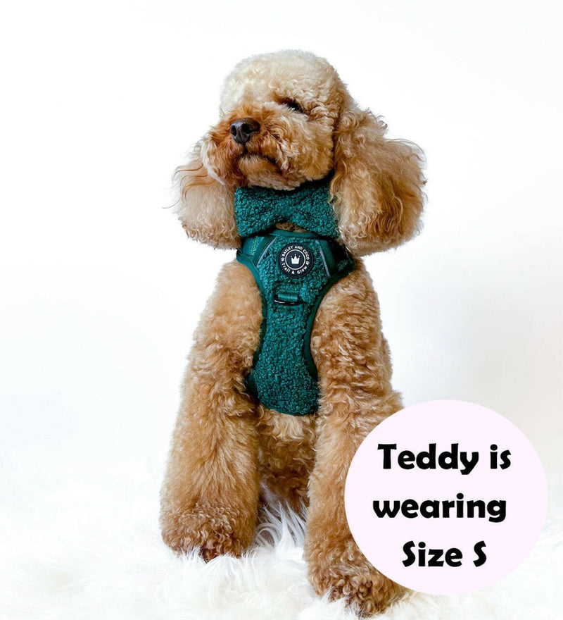Trail & Glow® Dog Harness Bundle Set - Emerald Teddy - Bailey and Coco (UK)