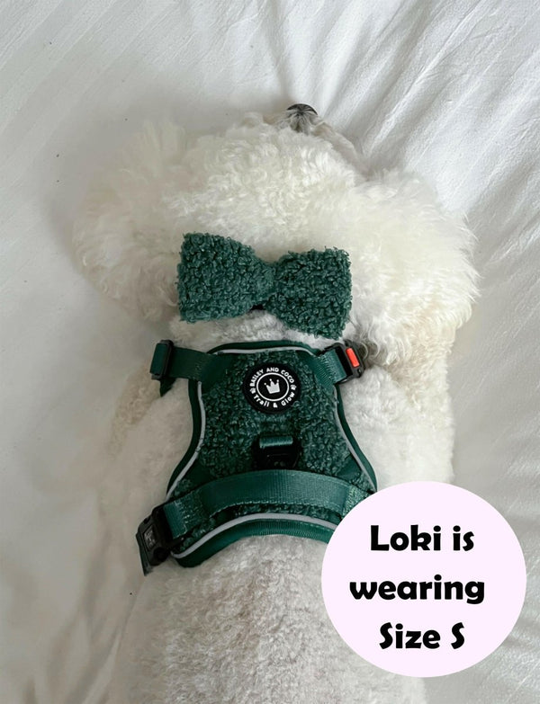 Trail & Glow® Dog Harness Bundle Set - Emerald Teddy - Bailey and Coco (UK)