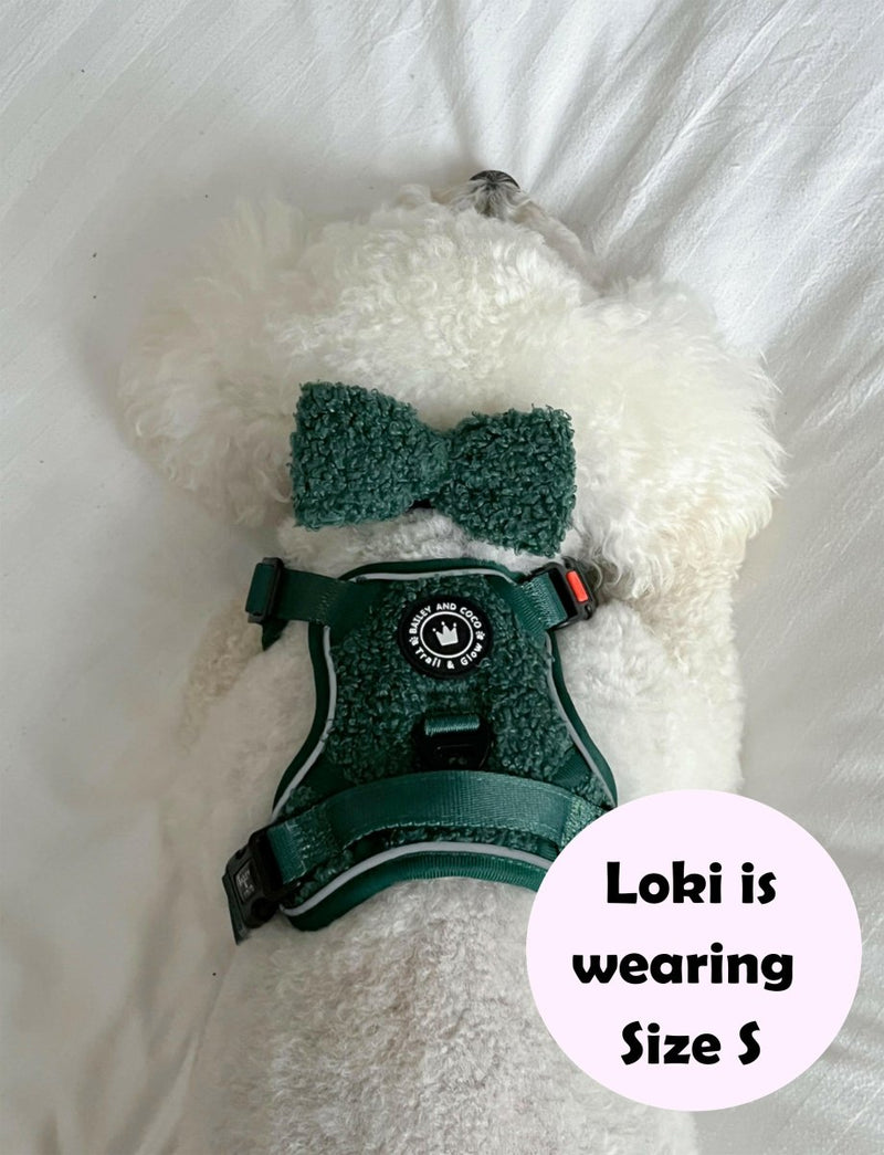 Trail & Glow® Dog Harness Bundle Set - Emerald Teddy - Bailey and Coco (UK)