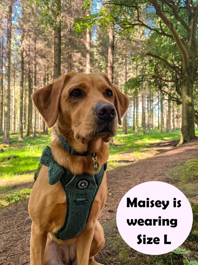 Trail & Glow® Dog Harness Bundle Set - Emerald Teddy - Bailey and Coco (UK)