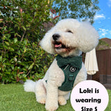 Trail & Glow® Dog Harness Bundle Set - Emerald Teddy - Bailey and Coco (UK)