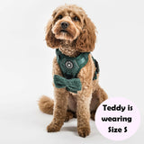 Trail & Glow® Dog Harness Bundle Set - Emerald Teddy - Bailey and Coco (UK)