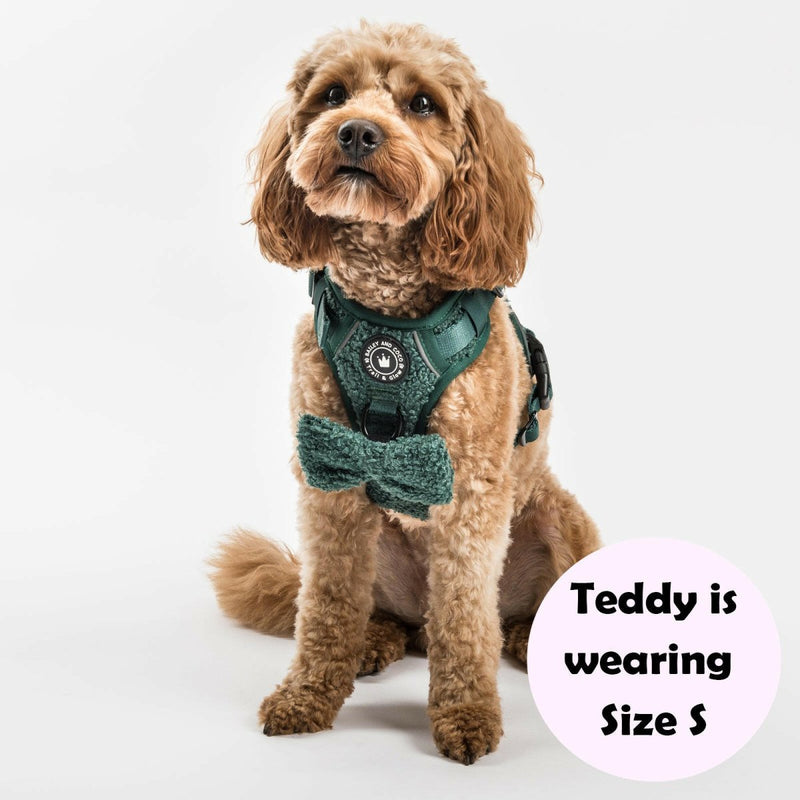 Trail & Glow® Dog Harness Bundle Set - Emerald Teddy - Bailey and Coco (UK)
