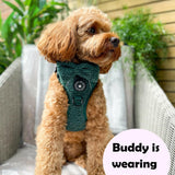 Trail & Glow® Dog Harness Bundle Set - Emerald Teddy - Bailey and Coco (UK)