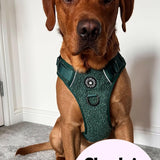 Trail & Glow® Dog Harness Bundle Set - Emerald Teddy - Bailey and Coco (UK)