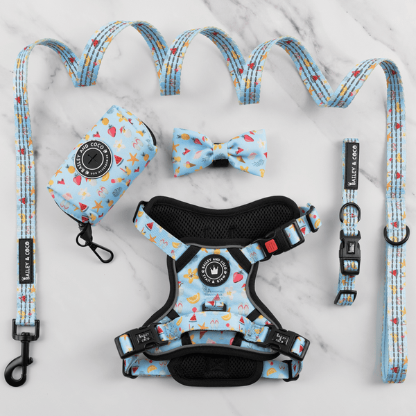 Trail & Glow® Dog Harness Bundle Set - Feels Like Summer - Bailey and Coco (UK)