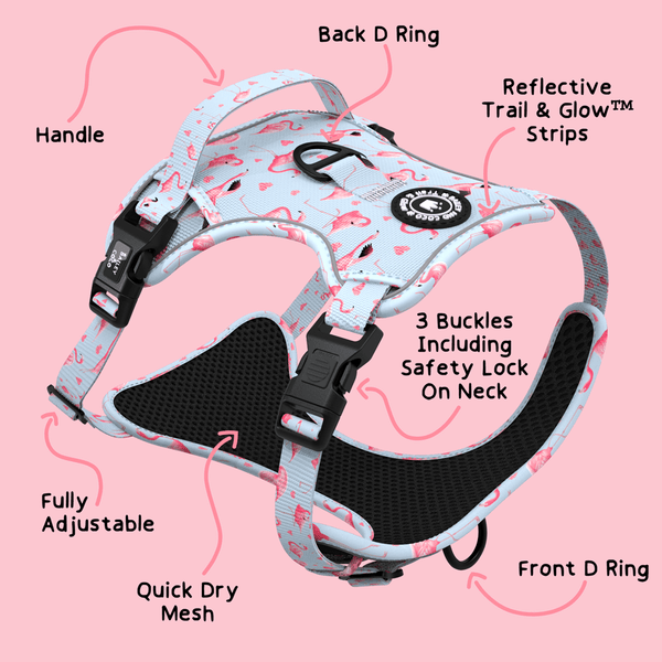 Trail & Glow® Dog Harness Bundle Set - Flamingo Fling - alternate view