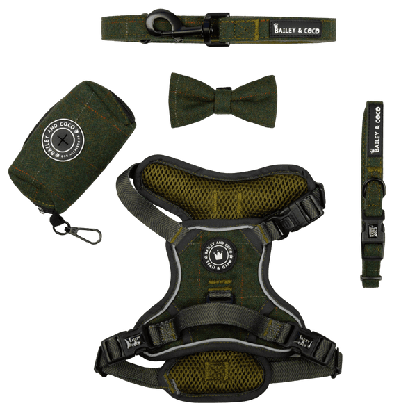 Trail & Glow® Dog Harness Bundle Set - Forest Tweed - Bailey and Coco (UK)
