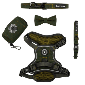 Trail & Glow® Dog Harness Bundle Set - Forest Tweed