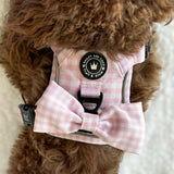 Trail & Glow® Dog Harness Bundle Set - Gingham Dreams - Bailey and Coco (UK)